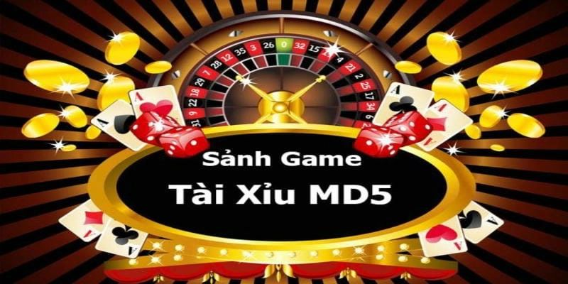 Tìm hiểu tổng quan về tài xỉu md5