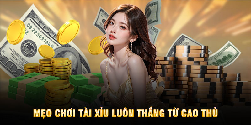 Mẹo chơi tài xỉu luôn thắng từ dân chơi chuyên nghiệp